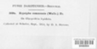 Image Associated With the Occurence